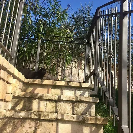 Lavanda E Rosmarino
